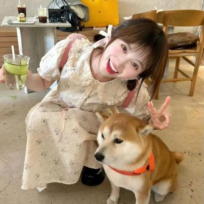 快乐综午见